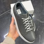 ونیز طوسی - Image 4